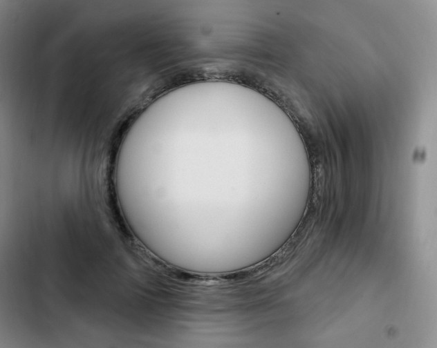 X0000103150698200808221129