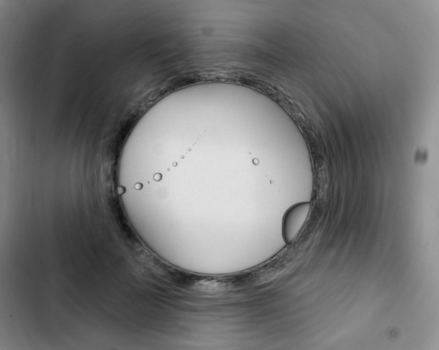 X0000103150699200808221129