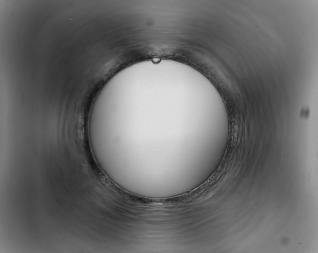 X0000103150700200808221129