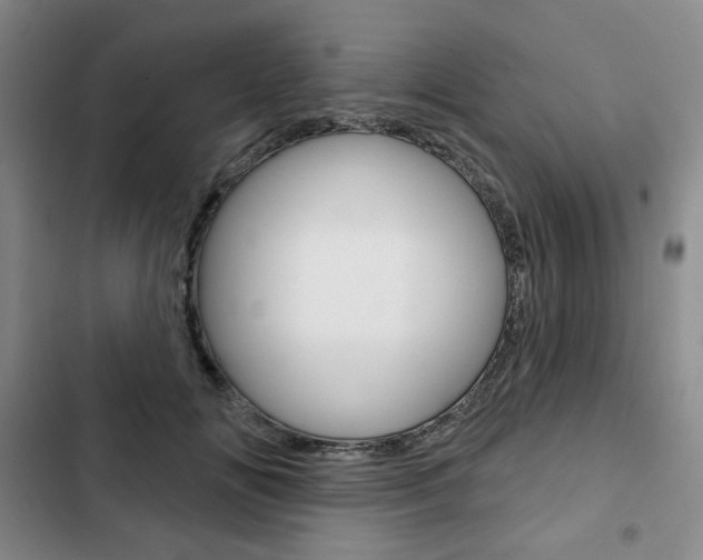X0000103150702200808221129