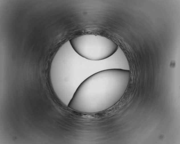X0000103150703200808221129