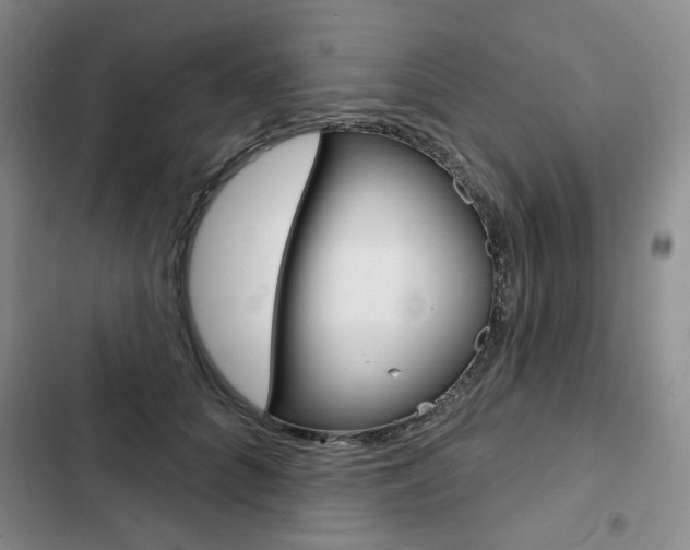X0000103150704200808221129
