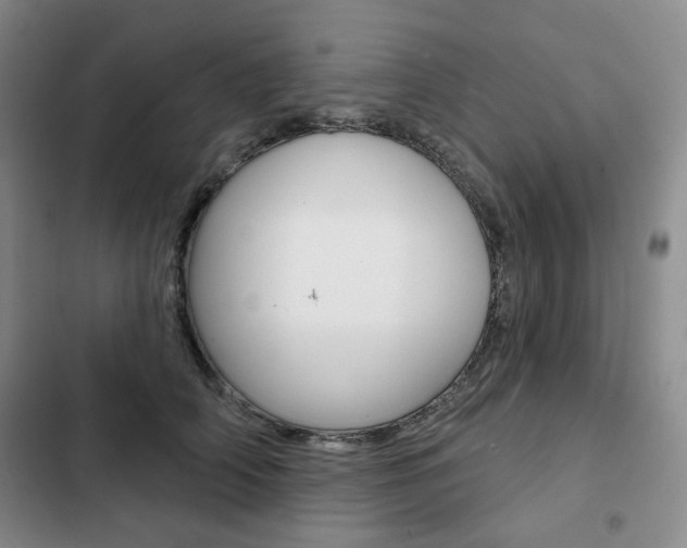 X0000103150706200808221129