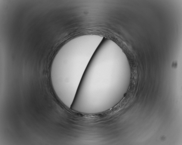 X0000103150707200808221129