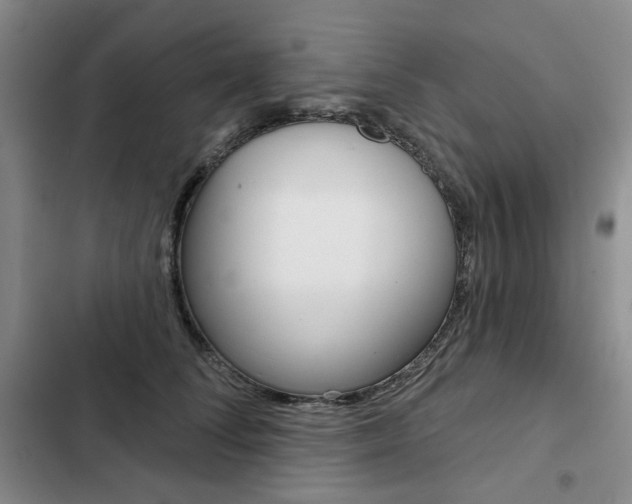 X0000103150708200808221129