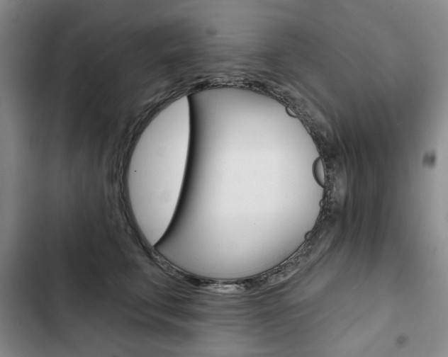 X0000103150711200808221129