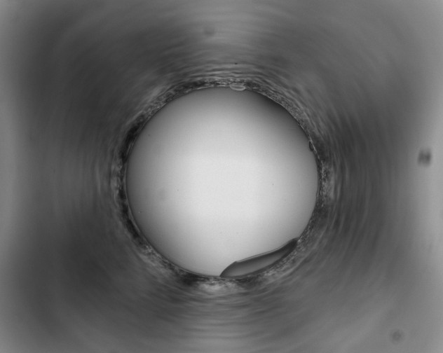X0000103150712200808221129