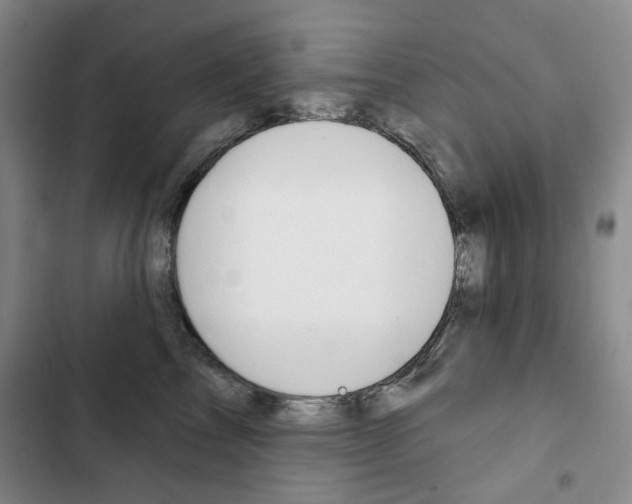 X0000103150713200808221129