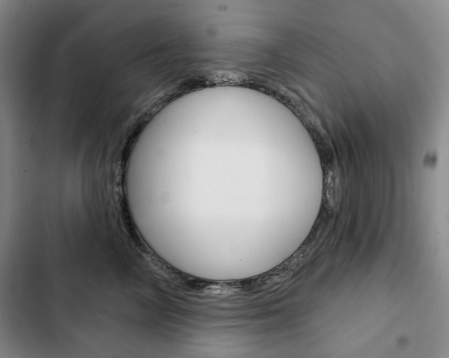 X0000103150714200808221129