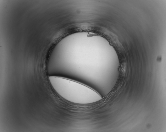 X0000103150715200808221129