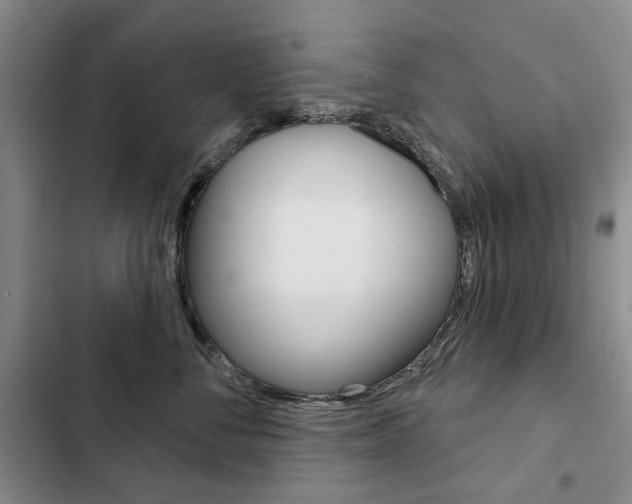 X0000103150716200808221129