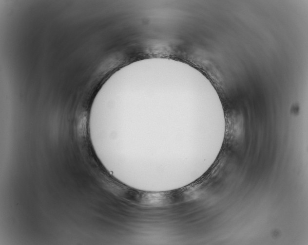 X0000103150717200808221129