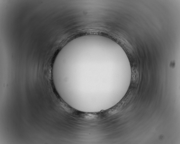 X0000103150718200808221129