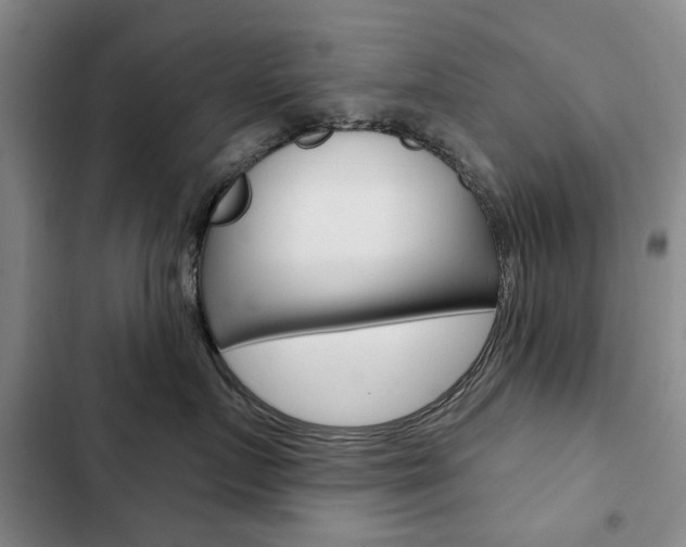 X0000103150719200808221129
