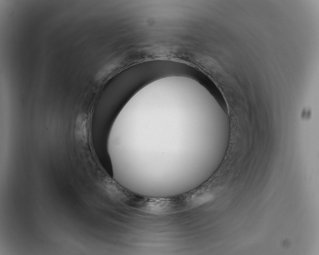 X0000103150720200808221129