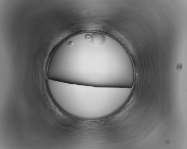 X0000103150721200808221128
