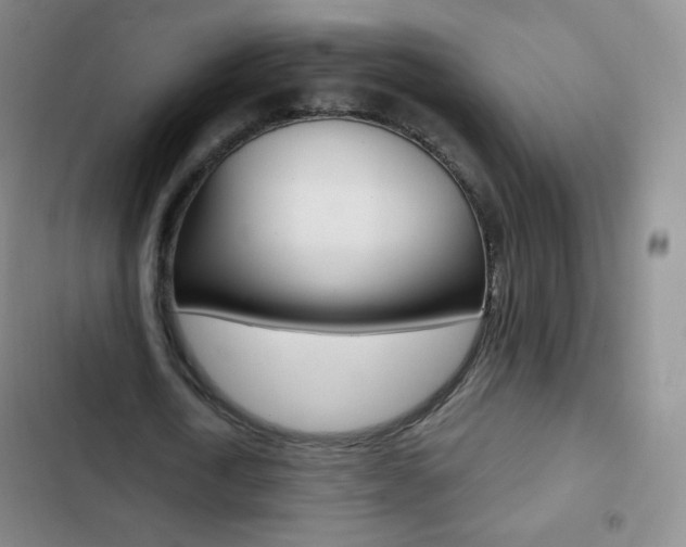 X0000103150722200808221128