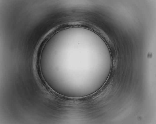 X0000103150724200808221128