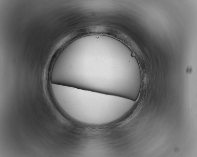 X0000103150725200808221128