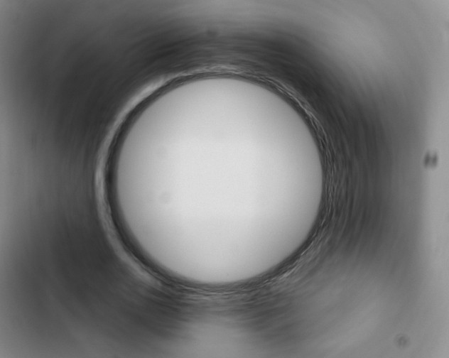X0000103150726200808221128