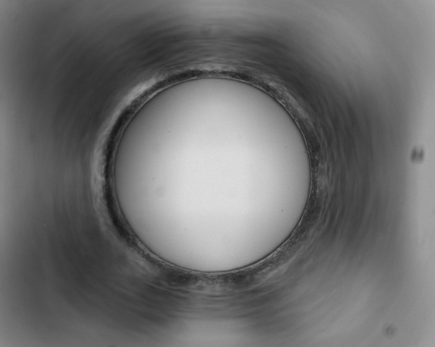 X0000103150727200808221128