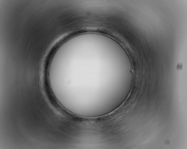 X0000103150728200808221128