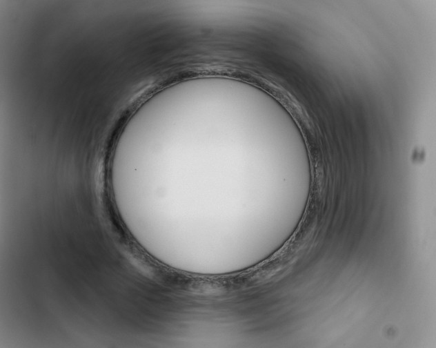 X0000103150729200808221128