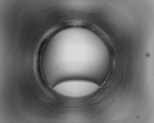 X0000103150732200808221128