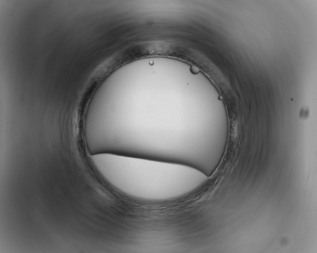 X0000103150733200808221128
