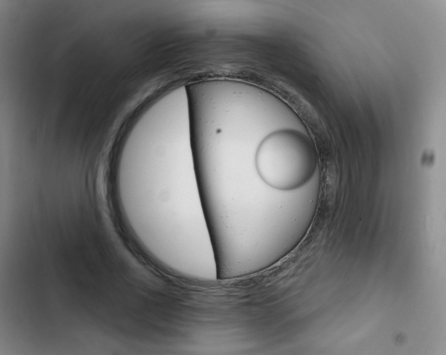 X0000103150734200808221128