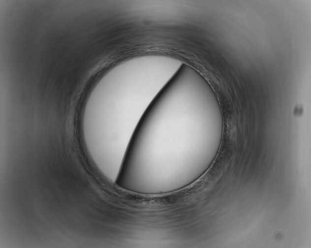 X0000103150735200808221128