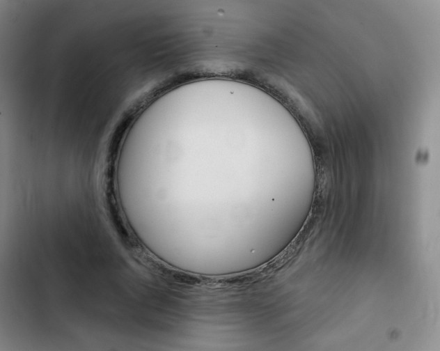 X0000103150736200808221128