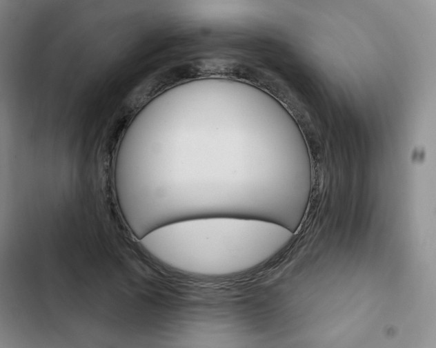 X0000103150737200808221128