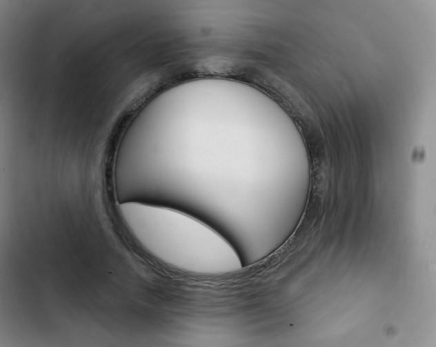 X0000103150738200808221128