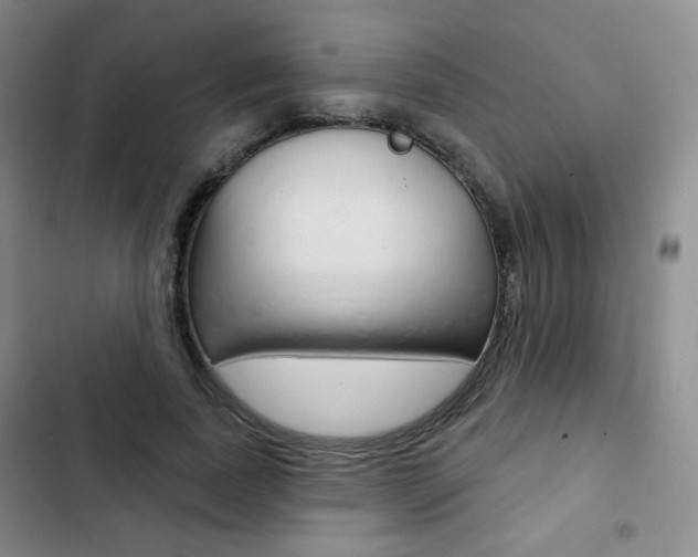 X0000103150739200808221128