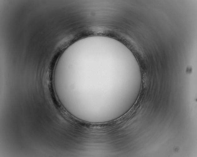 X0000103150740200808221128