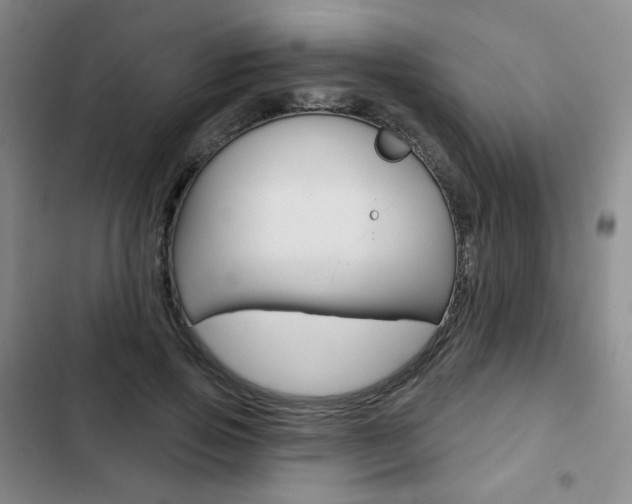 X0000103150741200808221128