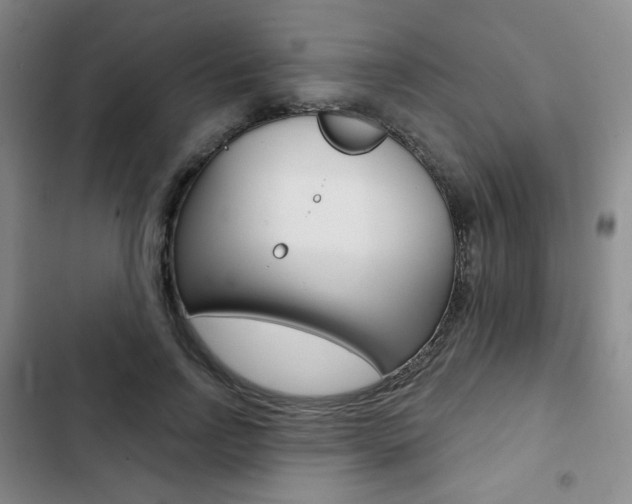 X0000103150742200808221128