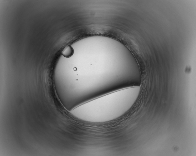 X0000103150743200808221128
