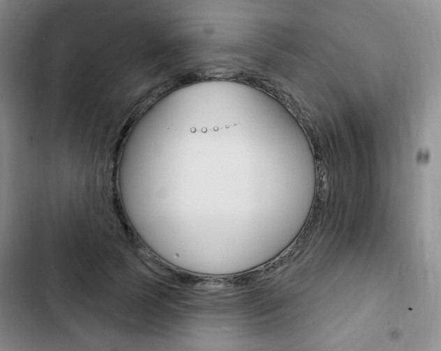 X0000103150745200808221128