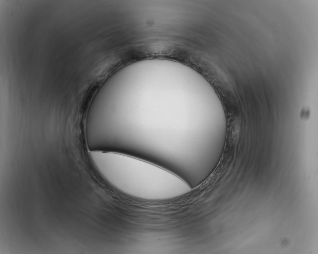 X0000103150746200808221128