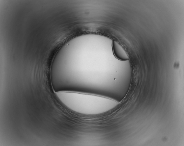 X0000103150747200808221128