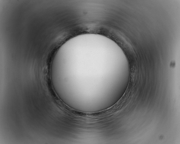 X0000103150748200808221128