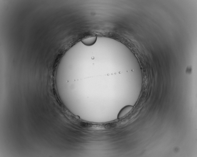 X0000103150749200808221128