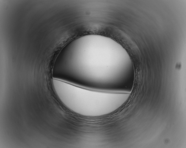 X0000103150750200808221128