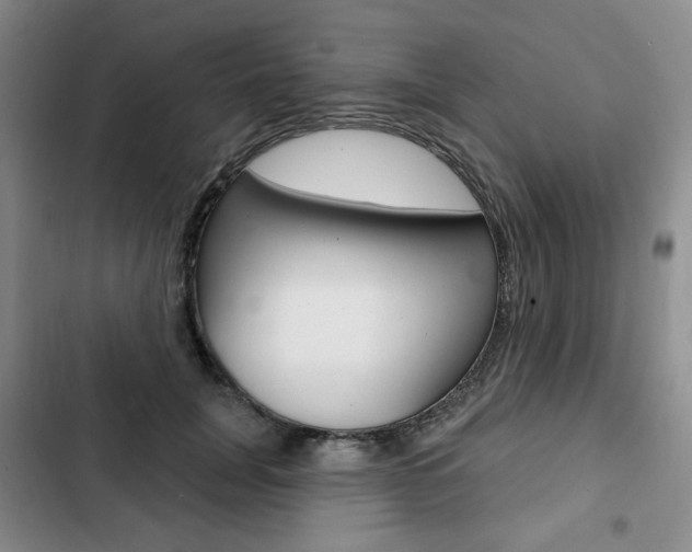 X0000103150751200808221128