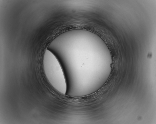 X0000103150752200808221128