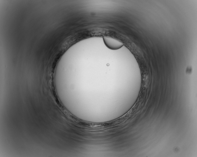 X0000103150753200808221128
