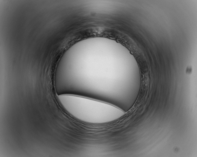 X0000103150754200808221128