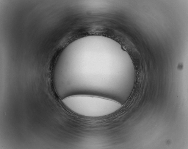 X0000103150755200808221128